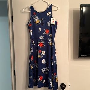 Banana Republic blue flower print dress. NWT